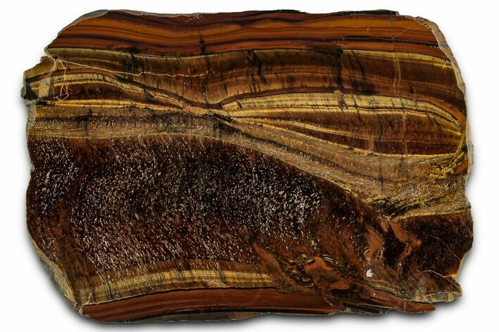 Polished Tiger's Eye Slab - South Africa #355293